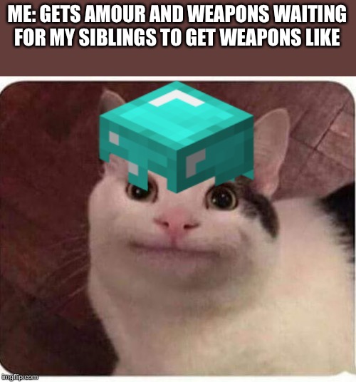 ME: GETS AMOUR AND WEAPONS WAITING FOR MY SIBLINGS TO GET WEAPONS LIKE | image tagged in polite cat | made w/ Imgflip meme maker