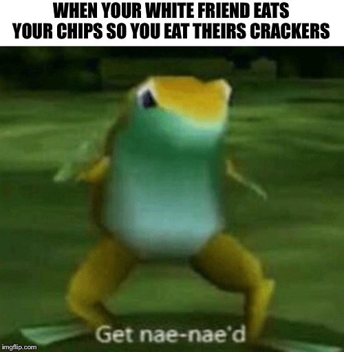 WHEN YOUR WHITE FRIEND EATS YOUR CHIPS SO YOU EAT THEIRS CRACKERS | image tagged in get nae-nae'd | made w/ Imgflip meme maker