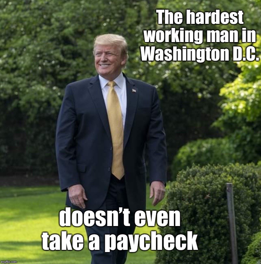 Meanwhile, career politicians make a fortune in politics.  Think about it. | . | image tagged in maga | made w/ Imgflip meme maker