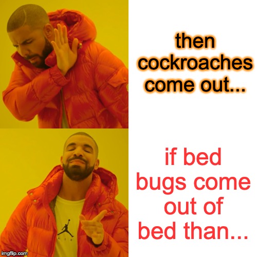 Drake Hotline Bling Meme | then cockroaches come out... if bed bugs come out of bed than... | image tagged in memes,drake hotline bling | made w/ Imgflip meme maker