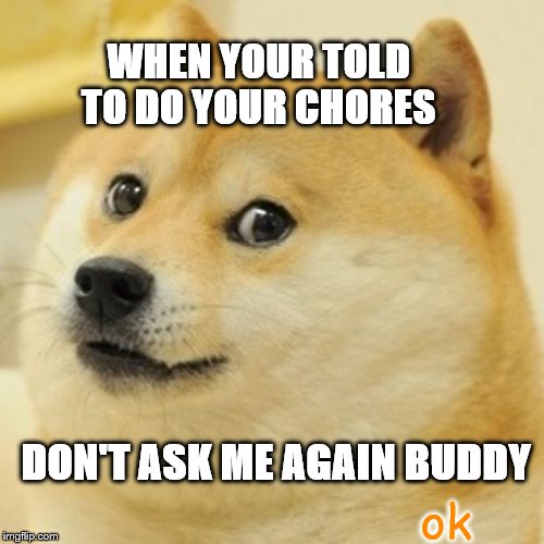 Doge | WHEN YOUR TOLD TO DO YOUR CHORES; DON'T ASK ME AGAIN BUDDY; ok | image tagged in memes,doge | made w/ Imgflip meme maker