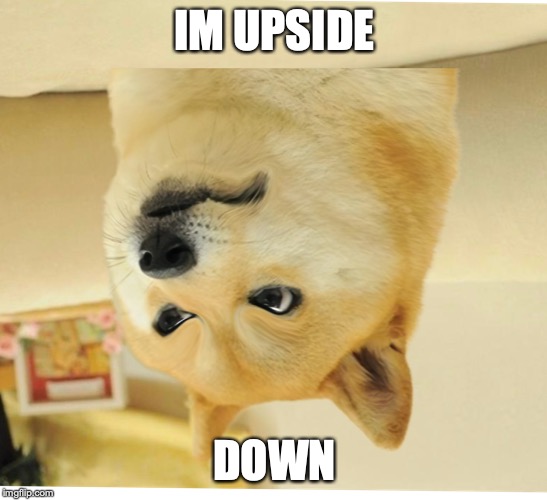 upside doge | IM UPSIDE; DOWN | image tagged in doge | made w/ Imgflip meme maker