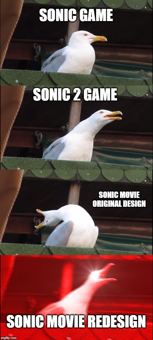 Inhaling Seagull | SONIC GAME; SONIC 2 GAME; SONIC MOVIE ORIGINAL DESIGN; SONIC MOVIE REDESIGN | image tagged in memes,inhaling seagull | made w/ Imgflip meme maker