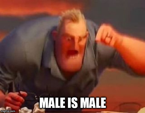 Mr incredible mad | MALE IS MALE | image tagged in mr incredible mad | made w/ Imgflip meme maker