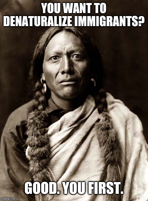 Native american | YOU WANT TO DENATURALIZE IMMIGRANTS? GOOD. YOU FIRST. | image tagged in native american | made w/ Imgflip meme maker