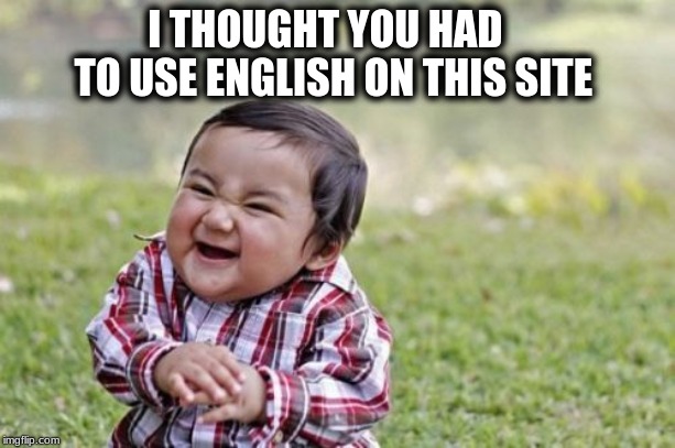 Evil Toddler | I THOUGHT YOU HAD    TO USE ENGLISH ON THIS SITE | image tagged in memes,evil toddler | made w/ Imgflip meme maker