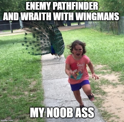 Peacock chasing girl | ENEMY PATHFINDER AND WRAITH WITH WINGMANS; MY NOOB ASS | image tagged in peacock chasing girl | made w/ Imgflip meme maker