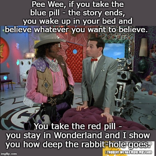 Pee Wee Herman Matrix Crossover Very Special Episode | Pee Wee, if you take the blue pill - the story ends, you wake up in your bed and believe whatever you want to believe. You take the red pill - you stay in Wonderland and I show you how deep the rabbit-hole goes. | image tagged in pee wee herman,matrix,morpheus | made w/ Imgflip meme maker