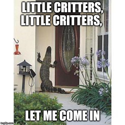 Alligator at the door | LITTLE CRITTERS, LITTLE CRITTERS, LET ME COME IN | image tagged in alligator at the door | made w/ Imgflip meme maker