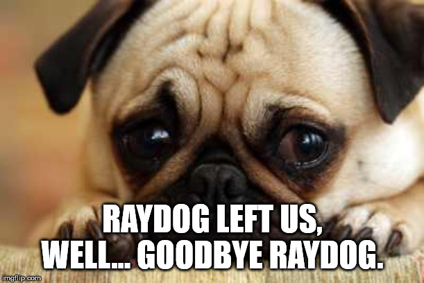 Sad Dog | RAYDOG LEFT US, WELL... GOODBYE RAYDOG. | image tagged in sad dog | made w/ Imgflip meme maker