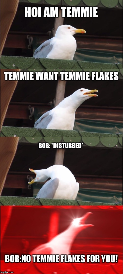 Inhaling Seagull Meme | HOI AM TEMMIE; TEMMIE WANT TEMMIE FLAKES; BOB: *DISTURBED*; BOB:NO TEMMIE FLAKES FOR YOU! | image tagged in memes,inhaling seagull | made w/ Imgflip meme maker