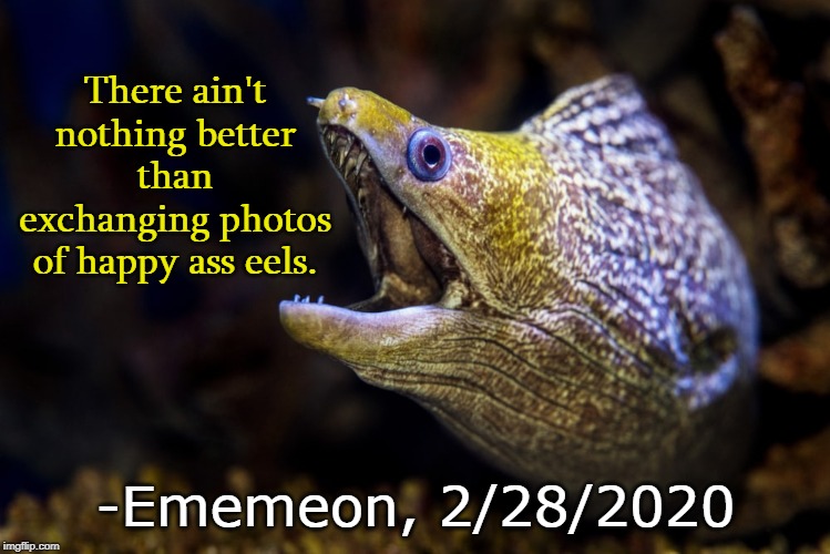 We need an Eel stream. Just for dem Eels. | There ain't nothing better than exchanging photos of happy ass eels. -Ememeon, 2/28/2020 | image tagged in bad joke eel,sadly i am only an eel | made w/ Imgflip meme maker