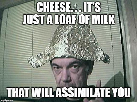Borg Cheese | CHEESE. . . IT'S JUST A LOAF OF MILK; THAT WILL ASSIMILATE YOU | image tagged in tin foil hat,borg,cheese | made w/ Imgflip meme maker