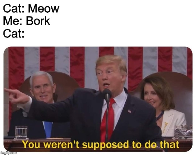 You weren't supposed to do that | Cat: Meow
Me: Bork
Cat: | image tagged in you weren't supposed to do that,cats,bork,i don't know who are you | made w/ Imgflip meme maker