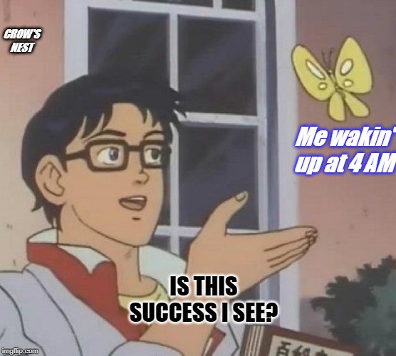 Is This A Pigeon | CROW'S NEST; Me wakin' up at 4 AM; IS THIS SUCCESS I SEE? | image tagged in memes,is this a pigeon | made w/ Imgflip meme maker