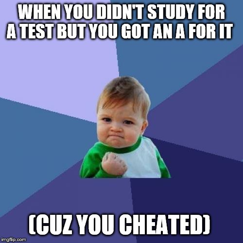 Success Kid | WHEN YOU DIDN'T STUDY FOR A TEST BUT YOU GOT AN A FOR IT; (CUZ YOU CHEATED) | image tagged in memes,success kid | made w/ Imgflip meme maker