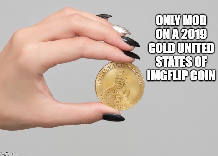 ONLY MOD ON A 2019 GOLD UNITED STATES OF IMGFLIP COIN | made w/ Imgflip meme maker