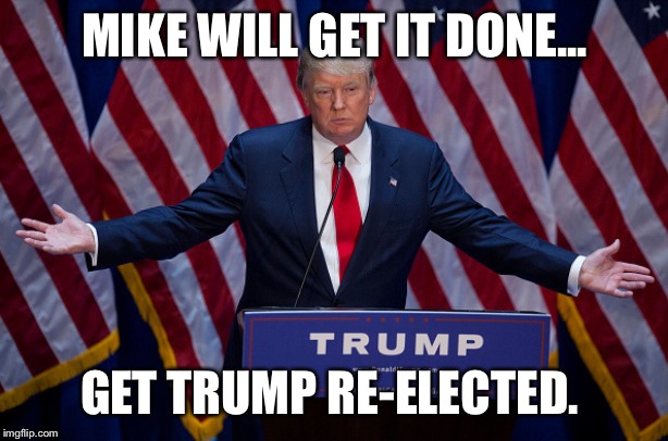 Donald Trump | MIKE WILL GET IT DONE... GET TRUMP RE-ELECTED. | image tagged in donald trump | made w/ Imgflip meme maker
