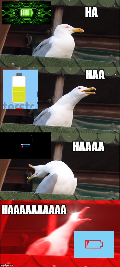 Inhaling Seagull | HA; HAA; HAAAA; HAAAAAAAAAA | image tagged in memes,inhaling seagull | made w/ Imgflip meme maker