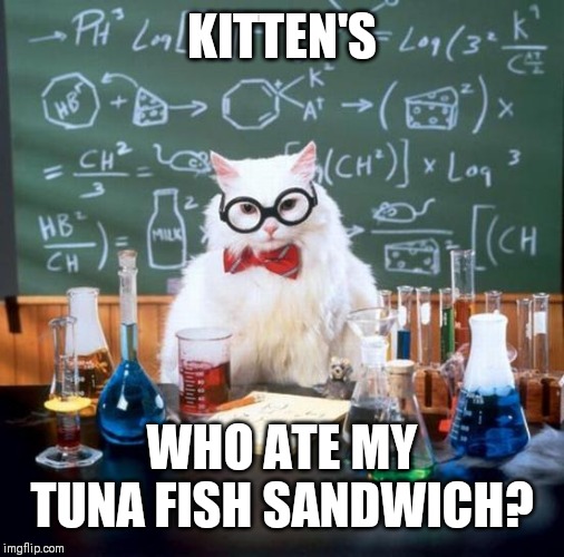 Chemistry Cat Meme | KITTEN'S; WHO ATE MY TUNA FISH SANDWICH? | image tagged in memes,chemistry cat | made w/ Imgflip meme maker