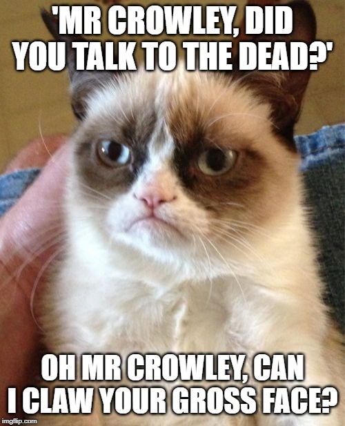 Grumpy Cat | 'MR CROWLEY, DID YOU TALK TO THE DEAD?'; OH MR CROWLEY, CAN I CLAW YOUR GROSS FACE? | image tagged in memes,grumpy cat | made w/ Imgflip meme maker