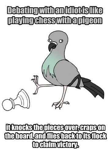 Pigeon chess Blank Meme Template