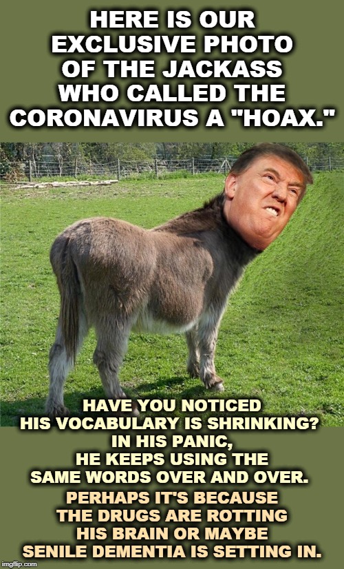 We're prevented from hearing from doctors, but we have to listen to this word salad from a panicky snowflake instead? | HERE IS OUR EXCLUSIVE PHOTO OF THE JACKASS WHO CALLED THE CORONAVIRUS A "HOAX."; HAVE YOU NOTICED HIS VOCABULARY IS SHRINKING? 
IN HIS PANIC, HE KEEPS USING THE SAME WORDS OVER AND OVER. PERHAPS IT'S BECAUSE THE DRUGS ARE ROTTING HIS BRAIN OR MAYBE SENILE DEMENTIA IS SETTING IN. | image tagged in trump is a jackass,trump,panic,fear,coronavirus,incompetence | made w/ Imgflip meme maker