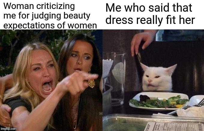 Misunderstanding | Woman criticizing me for judging beauty expectations of women; Me who said that dress really fit her | image tagged in memes,woman yelling at cat,gender equality | made w/ Imgflip meme maker