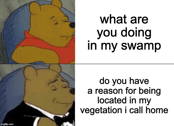 Tuxedo Winnie The Pooh | what are you doing in my swamp; do you have a reason for being located in my vegetation i call home | image tagged in memes,tuxedo winnie the pooh | made w/ Imgflip meme maker
