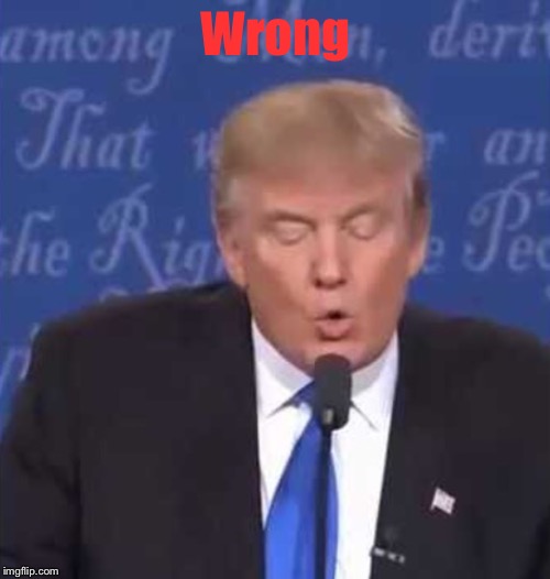 Trump wrong | Wrong | image tagged in trump wrong | made w/ Imgflip meme maker