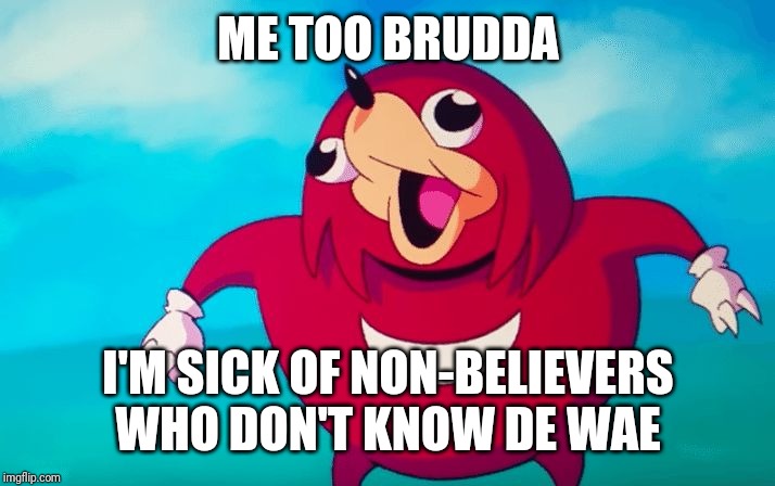 Ugandan Knuckles | ME TOO BRUDDA; I'M SICK OF NON-BELIEVERS WHO DON'T KNOW DE WAE | image tagged in ugandan knuckles | made w/ Imgflip meme maker