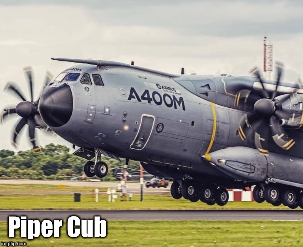 Piper Cub | made w/ Imgflip meme maker