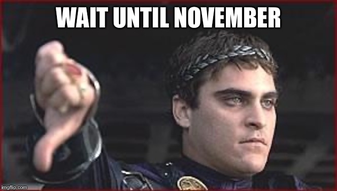 Thumbs down | WAIT UNTIL NOVEMBER | image tagged in thumbs down | made w/ Imgflip meme maker