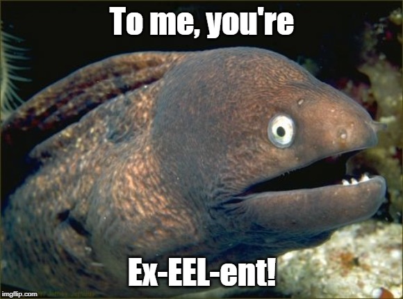 Bad Joke Eel Meme | To me, you're; Ex-EEL-ent! | image tagged in memes,bad joke eel,feels,eel | made w/ Imgflip meme maker