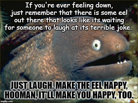 Just do it, hoomans! | image tagged in bad joke eel,happy,sad | made w/ Imgflip meme maker