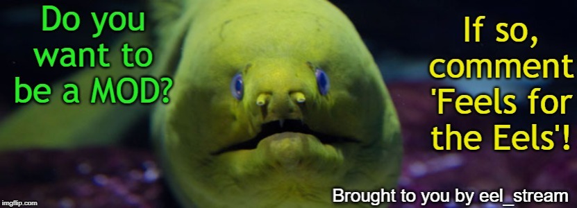 Comment to MOD! | image tagged in moderators,bad joke eel,eels,feels | made w/ Imgflip meme maker