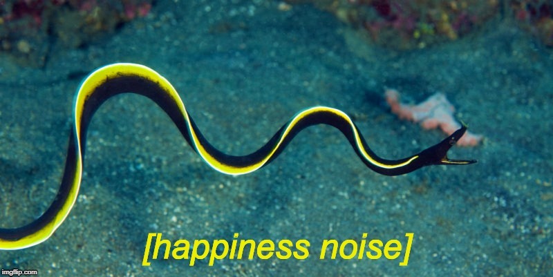 A new template! | image tagged in happiness noise eel | made w/ Imgflip meme maker
