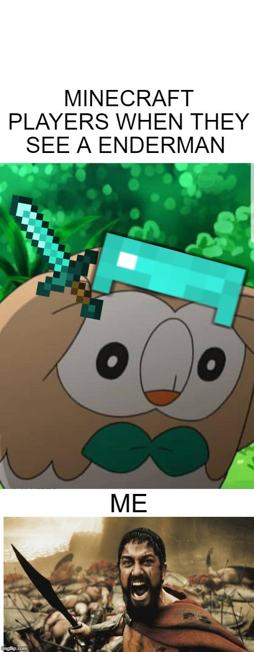Rowlet Pokemon Meme | MINECRAFT PLAYERS WHEN THEY SEE A ENDERMAN; ME | image tagged in rowlet pokemon meme | made w/ Imgflip meme maker