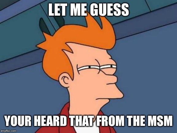 Futurama Fry Meme | LET ME GUESS YOUR HEARD THAT FROM THE MSM | image tagged in memes,futurama fry | made w/ Imgflip meme maker