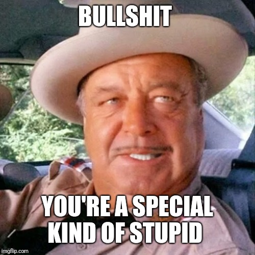 Sheriff Buford T. Justice You Sum Bitch | BULLSHIT YOU'RE A SPECIAL KIND OF STUPID | image tagged in sheriff buford t justice you sum bitch | made w/ Imgflip meme maker