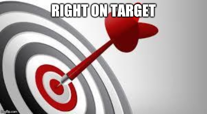 Focus Target | RIGHT ON TARGET | image tagged in focus target | made w/ Imgflip meme maker