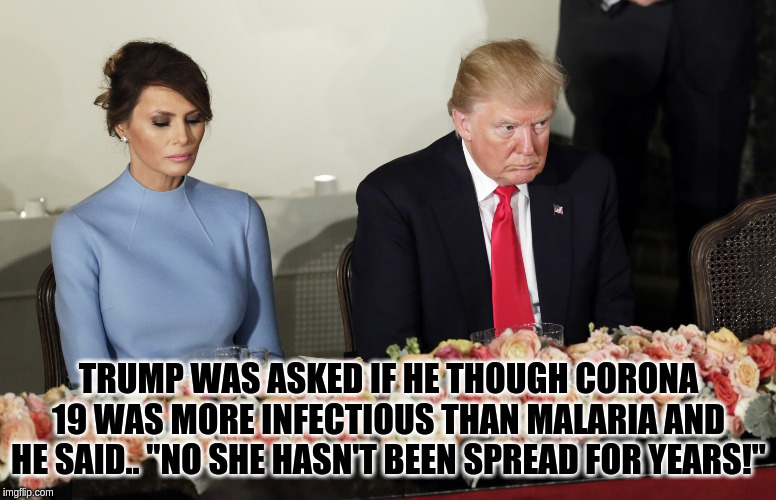 trump melania | TRUMP WAS ASKED IF HE THOUGH CORONA 19 WAS MORE INFECTIOUS THAN MALARIA AND HE SAID.. "NO SHE HASN'T BEEN SPREAD FOR YEARS!" | image tagged in melania trump | made w/ Imgflip meme maker