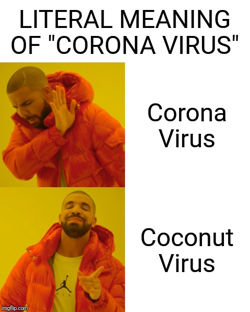Hmm coconut? | LITERAL MEANING OF "CORONA VIRUS"; Corona Virus; Coconut Virus | image tagged in memes,drake hotline bling,only fun,coconut virus | made w/ Imgflip meme maker