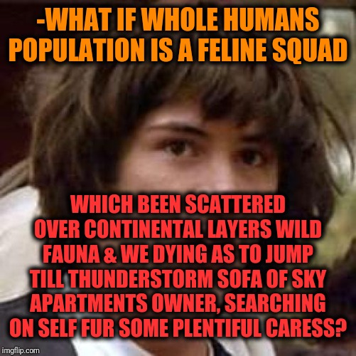 -Catch a wool gloves without serious injures on hands of puppeteer. | -WHAT IF WHOLE HUMANS POPULATION IS A FELINE SQUAD; WHICH BEEN SCATTERED OVER CONTINENTAL LAYERS WILD FAUNA & WE DYING AS TO JUMP TILL THUNDERSTORM SOFA OF SKY APARTMENTS OWNER, SEARCHING ON SELF FUR SOME PLENTIFUL CARESS? | image tagged in memes,conspiracy keanu,feline,squad goals,grumpy cat sky,thundercats | made w/ Imgflip meme maker
