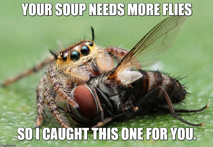 YOUR SOUP NEEDS MORE FLIES SO I CAUGHT THIS ONE FOR YOU. | made w/ Imgflip meme maker