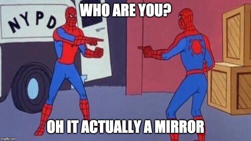 spiderman pointing at spiderman | WHO ARE YOU? OH IT ACTUALLY A MIRROR | image tagged in spiderman pointing at spiderman | made w/ Imgflip meme maker