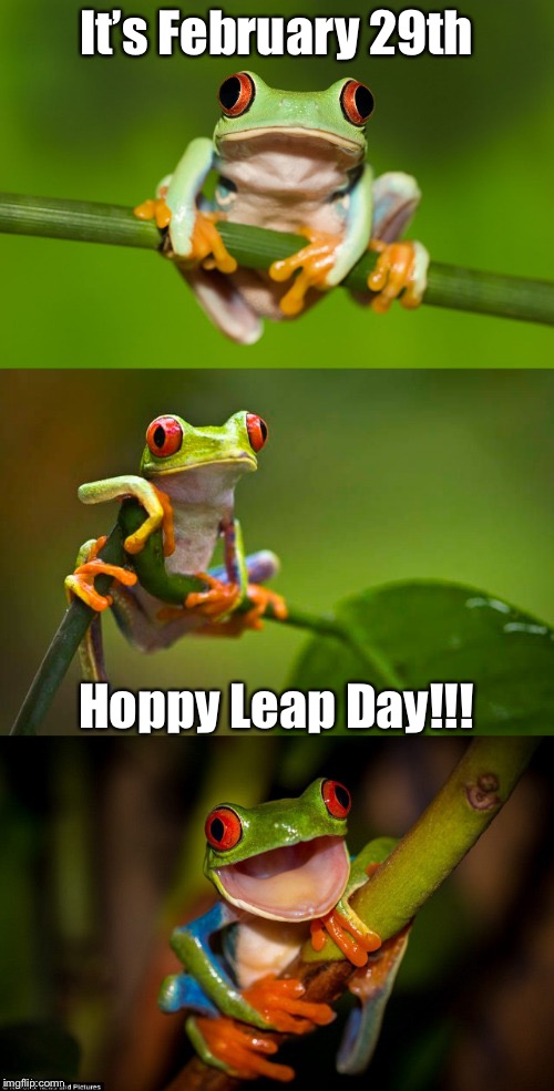 Frog Puns | It’s February 29th; Hoppy Leap Day!!! | image tagged in frog puns,leap year,memes | made w/ Imgflip meme maker