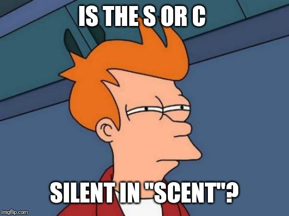 Futurama Fry | IS THE S OR C; SILENT IN "SCENT"? | image tagged in memes,futurama fry | made w/ Imgflip meme maker