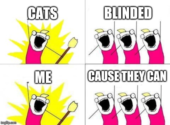 What Do We Want Meme | CATS; BLINDED; CAUSE THEY CAN; ME | image tagged in memes,what do we want | made w/ Imgflip meme maker