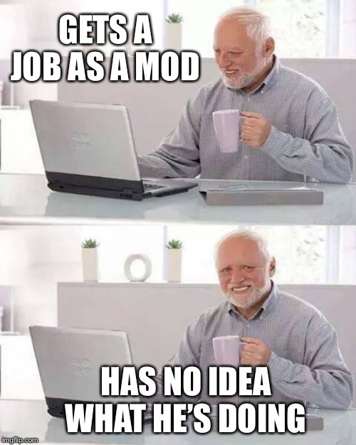 Hide the Inexperience Harold | GETS A JOB AS A MOD; HAS NO IDEA WHAT HE’S DOING | image tagged in memes,hide the pain harold,imgflip mods | made w/ Imgflip meme maker